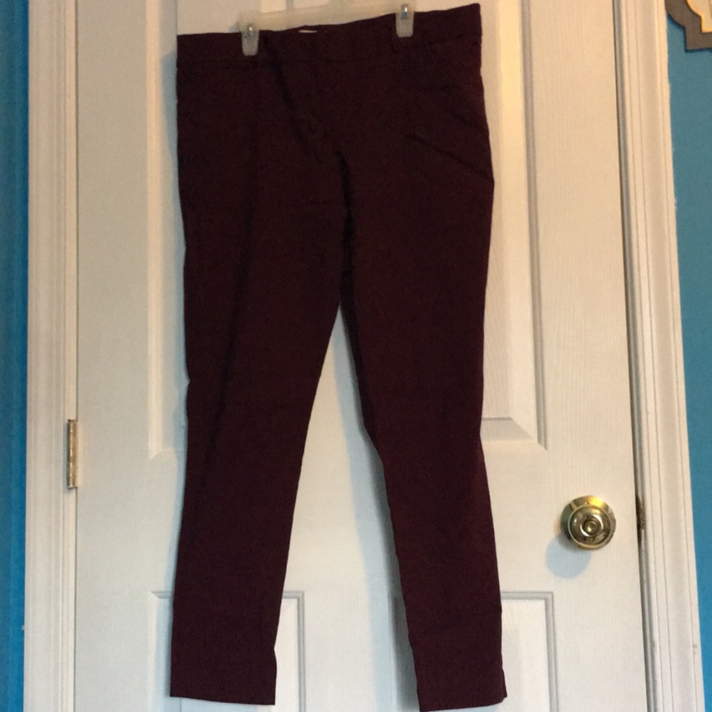 Dress pants